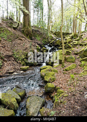 Cleddon Falls, Nr Llandogo, Monmouthshire. UK Stock Photo