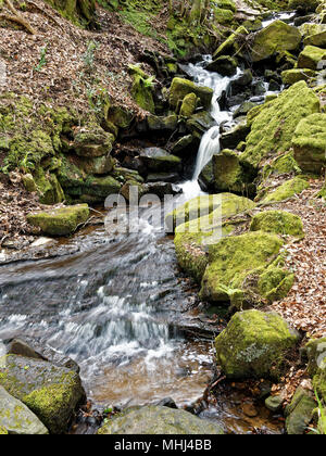 Cleddon Falls, Nr Llandogo, Monmouthshire. UK Stock Photo