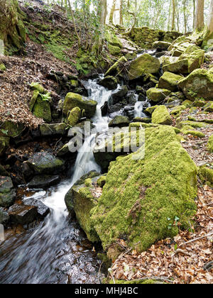 Cleddon Falls, Nr Llandogo, Monmouthshire. UK Stock Photo