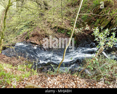 Cleddon Falls, Nr Llandogo, Monmouthshire. UK Stock Photo