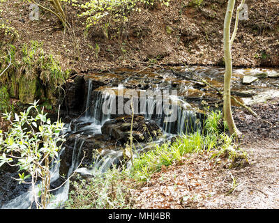 Cleddon Falls, Nr Llandogo, Monmouthshire. UK Stock Photo