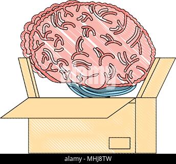 box with human brain icon over white background, vector illustration ...