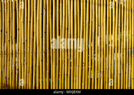 The bamboo is arranged. Wooden sticks Connected to create a wall, to be private, to prevent danger. Stock Photo