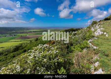 Warton Crag; Lancashire; UK Stock Photo