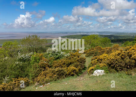 Warton Crag; Lancashire; UK Stock Photo