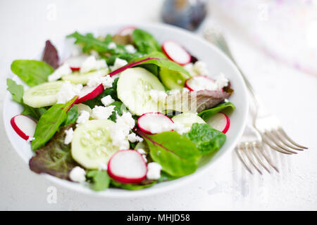 Mixed salad with baby leaves of red lettuce, tatsoi, arugula, red chard, radish, cucumber and feta cheese with olive oil and balsamic vinegar dressing Stock Photo