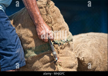 Old man hands holding juta sack in Asia Stock Photo