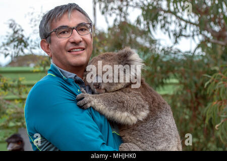 Man tourist and koala in australia kangaroo island while holding Stock Photo