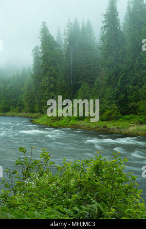 Lochsa Wild and Scenic River, Northwest Passage Scenic Byway, Clearwater National Forest, Idaho Stock Photo