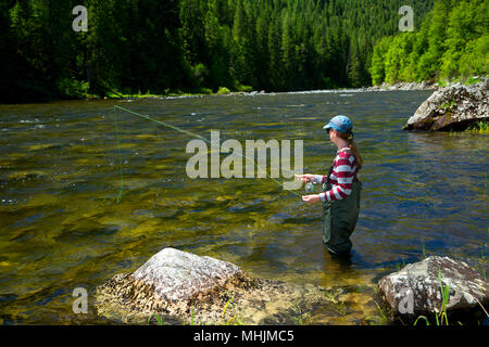 Flyfishing, Lochsa Wild and Scenic River, Northwest Passage Scenic Byway, Clearwater National Forest, Idaho Stock Photo