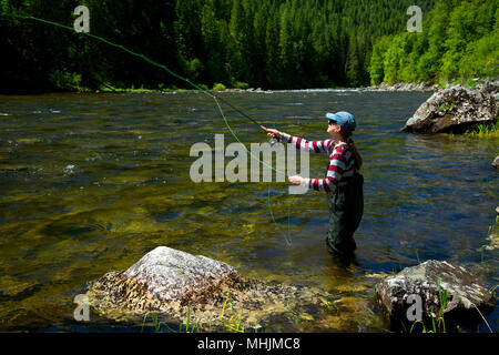 Flyfishing, Lochsa Wild and Scenic River, Northwest Passage Scenic Byway, Clearwater National Forest, Idaho Stock Photo