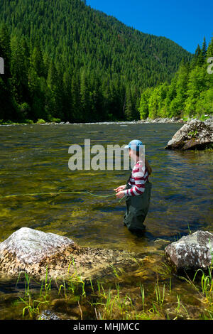 Flyfishing, Lochsa Wild and Scenic River, Northwest Passage Scenic Byway, Clearwater National Forest, Idaho Stock Photo