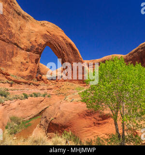 broken bow arch in the glen canyon national recreation area near escalante, utah Stock Photo