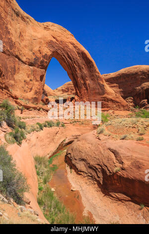 broken bow arch in the glen canyon national recreation area near escalante, utah Stock Photo