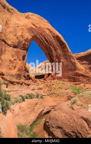 broken bow arch in the glen canyon national recreation area near escalante, utah Stock Photo