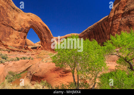 broken bow arch in the glen canyon national recreation area near escalante, utah Stock Photo