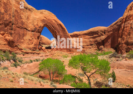 broken bow arch in the glen canyon national recreation area near escalante, utah Stock Photo