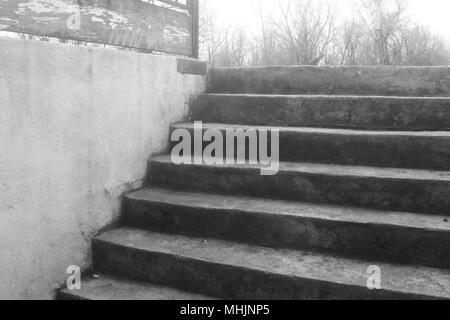 Black and white photo of old concrete stairs leading to a basement entrance a retaining wall. Rural Missouri, MO, United States, US, USA Stock Photo