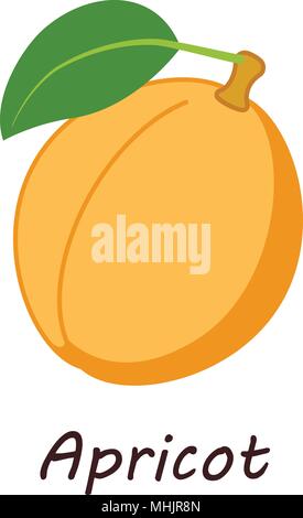 Apricot icon, isometric style Stock Vector