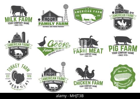 American Farm Badge or Label. Vector illustration. Stock Vector