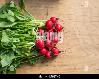 A bunch of bright red radish Scarlet Globe on a wooden surface Stock Photo