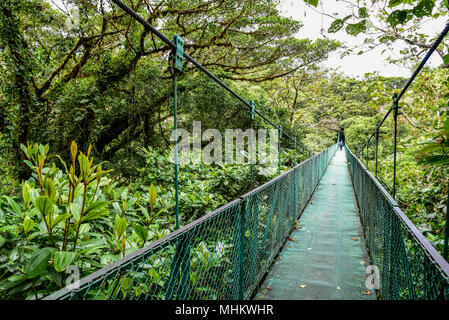 Hanging Bridges in Cloudforest - Monteverde, Costa Rica Stock Photo