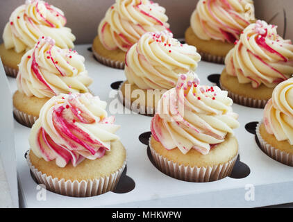 Delicate vanilla cupcakes with cream in the box on a white background Stock Photo