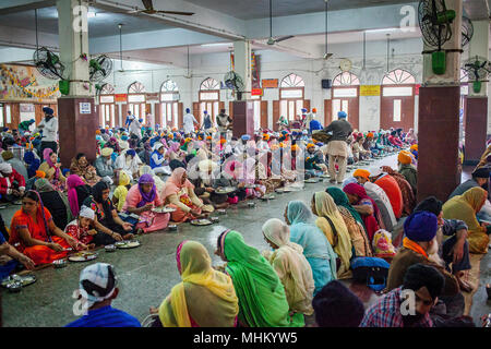 Pilgrims eating in the dinning room of Golden Temple, Each day the volunteers serve food for 60,000 - 80,000 pilgrims, Golden temple, Amritsar, Punjab Stock Photo