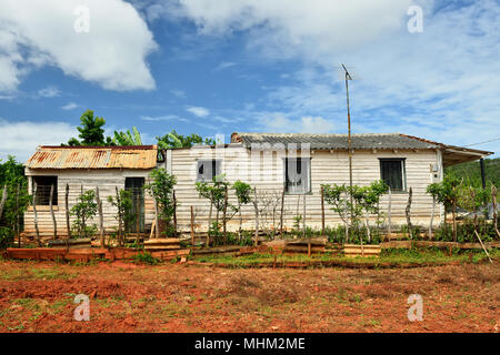 Of developing Cuban peasants in the Valle de Vinales, Cuba, Pinar del Rio province Stock Photo