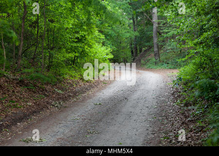 NC01777-00...NORTH CAROLINA - Back country road in Nags Head Woods Nature Conservancy on the Outer Banks. Stock Photo