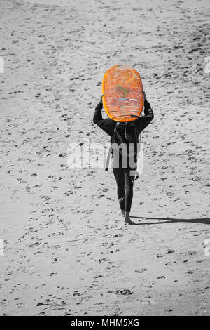 NC01781-00...NORTH CAROLINA - Surfer at Jennet's Pier on the Outer Banks. (No MR)orange Stock Photo