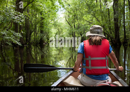 NC01803-00...NORTH CAROLINA - Canoeing Bennetts Creek in Merchants Millpond State Park. Stock Photo