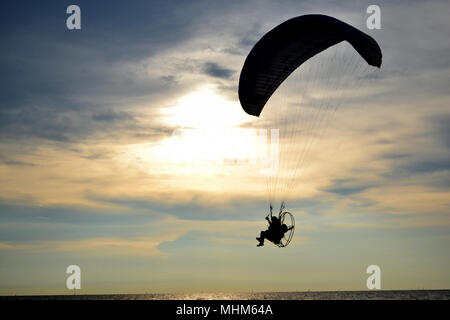 Silhouette one paramotor over sea and sunset sky Stock Photo