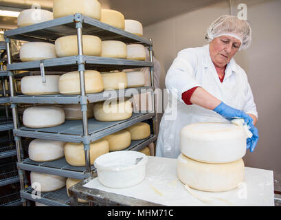 Lyburn cheese - Hampshire Artisan food Stock Photo