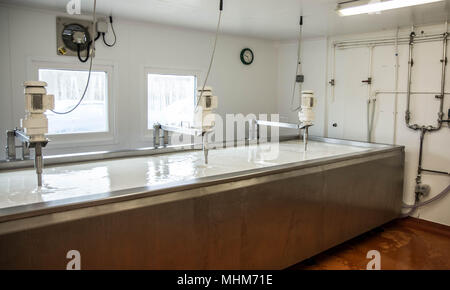 Lyburn cheese - Hampshire Artisan food Stock Photo