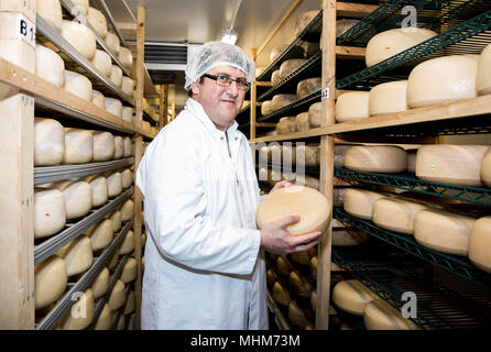 Lyburn cheese - Hampshire Artisan food Stock Photo