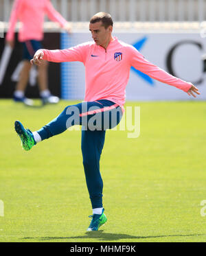 Atletico Madrid Antoine Griezmann during the training session at the Ciudad Deportiva AtlŽtico de Madrid, Madrid. Stock Photo