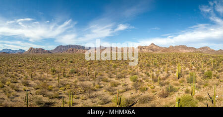 cactus and mountains aerial panorama Baja California Sur Rocks desert landscape view with drone Stock Photo