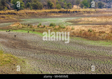 A Dried up waterhole in Matobo National Park, Zimbabwe. Stock Photo