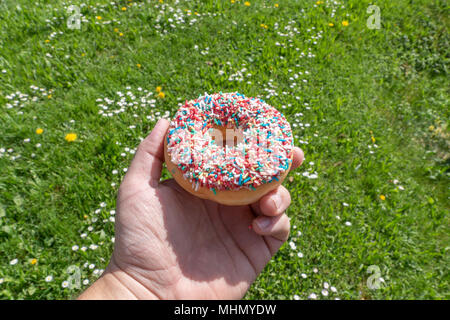 Hand holds a donut with colorful sprinkles Stock Photo