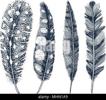 Set of Rustic realistic feathers of different birds, owls, peacocks, ducks. engraved hand drawn in old vintage sketch. Vector illustration. Stock Vector