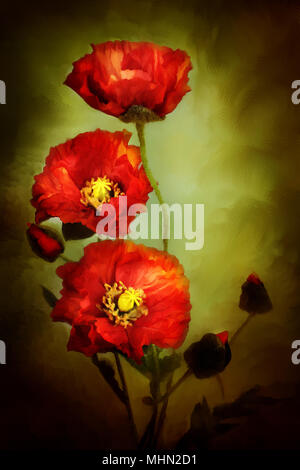 Digital painting of beautiful red poppies. Stock Photo