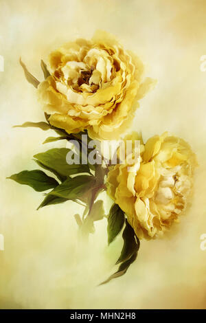 Digital painting of beautiful yellow peonies. Stock Photo