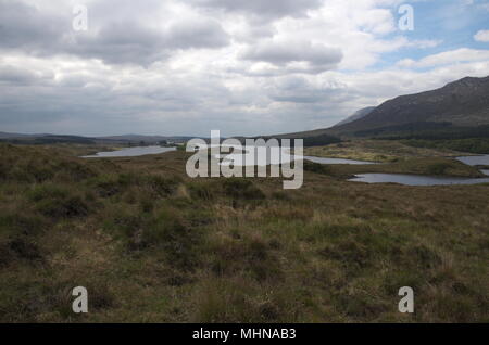 Field in the Connemara mountains Stock Photo