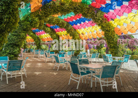 An umbrella and floral picnic shelter at the Miracle Gardens in Dubai, UAE, Middle East. Stock Photo