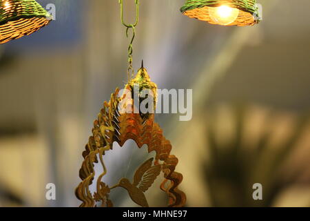 Mother Hummingbird With Her Young in a nest in a mobile on an apartment balcony Stock Photo