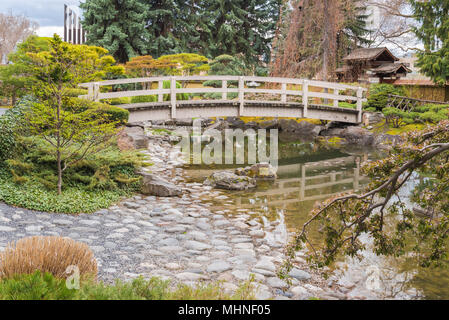 Kasugai Gardens, a Japanese garden in downtown Kelowna, is a popular place for tourists and locals to enjoy a quiet and relaxing retreat in the city. Stock Photo