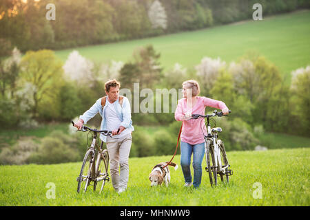 Beautiful senior couple with bicycles and dog outside in spring nature. Stock Photo