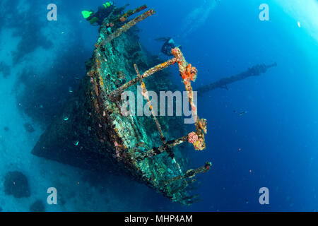 corals growing on Ship Wreck underwater while diving Stock Photo