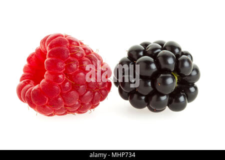 Single raspberry and blackberry isolated on white background Stock Photo